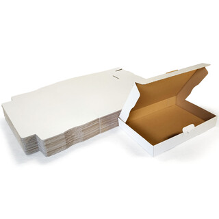 10 Maxikartons DHL Kartons Post Maxibrief Briefsendung Wei� 320x225x50 mm (MB 4 - DIN A4)