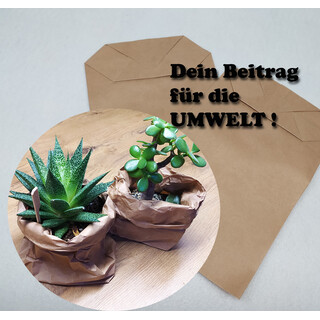 100 St�ck | Papiert�ten Braun 20 x 29 cm mit Kreuzboden Beutel Kraftpapier T�te Bodenbeutel