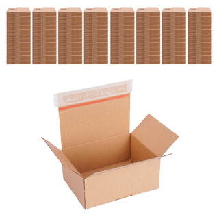Automatik Karton - 1000 Versandkartons mit selbstklebendem Deckel - Kartonagen 160 x 130 x 70 mm - VP10