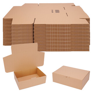 250 Versandkartons - 310 x 215 x 100 mm - kleine Kartons für Versand Faltschachteln